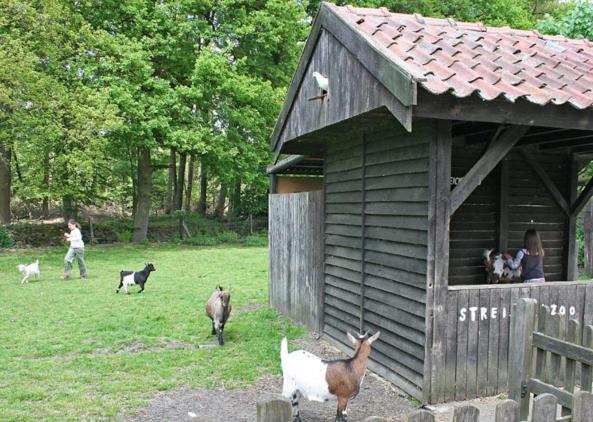 Land Gut Hotel Ritter Stadtlohn Luaran gambar